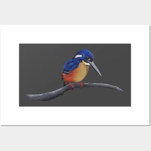 Kingfisher Posters and Art